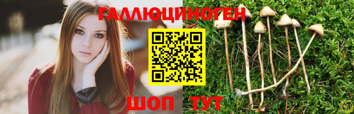 Ульяновск  Галлюциногенные грибы прущие грибы  цены наркотик  Вход с VPN 